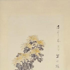 娩念的头像