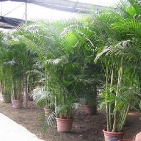 寻寻的头像