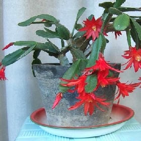 狂澜的头像