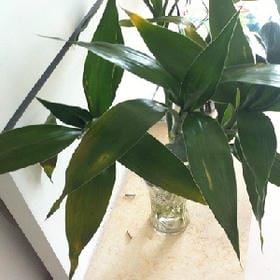 我好可爱的头像