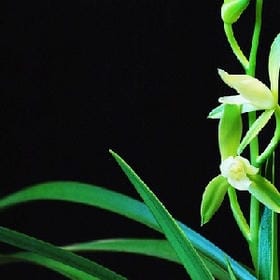 山复尔尔的头像