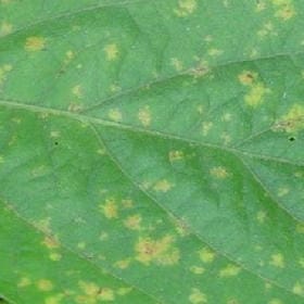 蓝色余寒调的头像