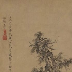 蝶舞櫻婲落的头像