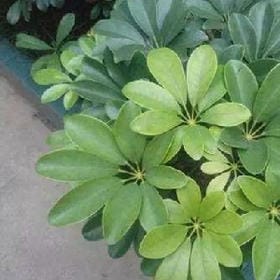俄只茬呼你的头像