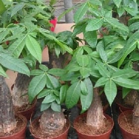滚离莪远点的头像