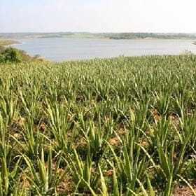 南城旧事的头像