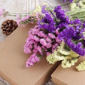 微雨落花的头像