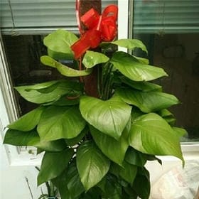 user010140的头像