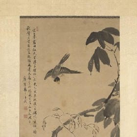 蝶舞淺夏的头像
