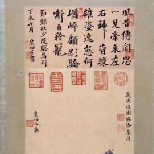 亡城孤影的头像