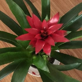 跑可是毒圈的头像