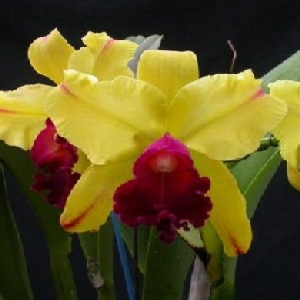 时光偷走初心的头像