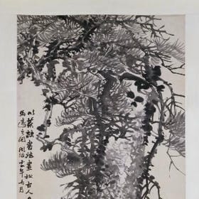 啵啵大婶的头像