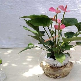 user011052的头像