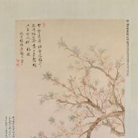 神秘鬼馬的头像