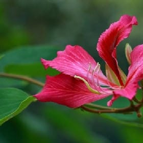 回溯奈何桥的悲伤的头像