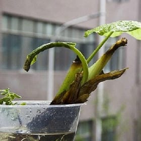 峩買铱菔傠厭試穿的头像