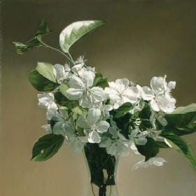 纵横王者路的头像